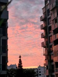 The Canopy (D27), Condominium #571826031